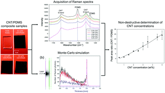Graphical abstract: Fast and non-destructive Raman spectroscopic determination of multi-walled carbon nanotube (MWCNT) contents in MWCNT/polydimethylsiloxane composites