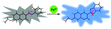 Graphical abstract: A coumarin-based fluorescent probe for monitoring labile ferrous iron in living systems