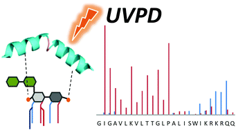 Graphical abstract: Towards mapping electrostatic interactions between Kdo2-lipid A and cationic antimicrobial peptides via ultraviolet photodissociation mass spectrometry