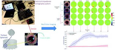 Graphical abstract: Electrical impedance tomography for real-time and label-free cellular viability assays of 3D tumour spheroids