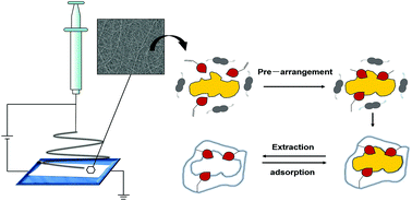 Graphical abstract: Molecularly imprinted electrospun nanofibers for adsorption of 2,4-dinitrotoluene in water