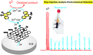 Graphical abstract: A blood-serum sulfide selective electrochemical sensor based on a 9,10-phenanthrenequinone-tethered graphene oxide modified electrode