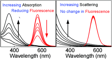 Graphical abstract: Scattering and absorption differ drastically in their inner filter effects on fluorescence, resonance synchronous, and polarized resonance synchronous spectroscopic measurements