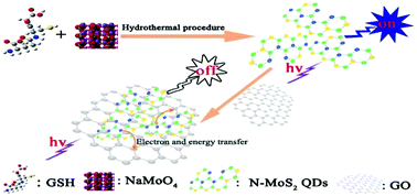 Graphical abstract: A fast-responsive fluorescent probe for sensitive detection of graphene oxide based on MoS2 quantum dots