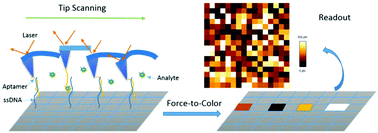 Graphical abstract: Label-free determination of adenosine and mercury ions according to force mapping-based force-to-color variety