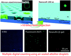 Graphical abstract: Digital enzyme assay using attoliter droplet array