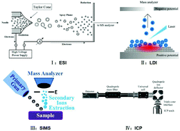Graphical abstract: Recent advances in single-cell analysis by mass spectrometry