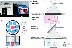 Graphical abstract: Dual excitation wavelength system for combined fingerprint and high wavenumber Raman spectroscopy