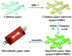 Graphical abstract: Deposition of CdTe quantum dots on microfluidic paper chips for rapid fluorescence detection of pesticide 2,4-D