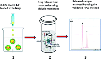 Graphical abstract: Development and validation of a robust analytical method to quantify both etoposide and prodigiosin in polymeric nanoparticles by reverse-phase high-performance liquid chromatography