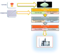 Graphical abstract: Determination of amphetamine-type stimulants (ATSs) and synthetic cathinones in urine using solid phase micro-extraction fibre tips and gas chromatography-mass spectrometry