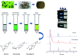 Graphical abstract: Fast simultaneous detection of three diterpenoids in Herba Siegesbeckiae using solid phase extraction followed by HPLC-UV with a core–shell particle column