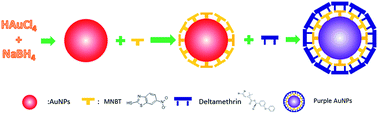 Graphical abstract: A rapid colorimetric method for the detection of deltamethrin based on gold nanoparticles modified with 2-mercapto-6-nitrobenzothiazole