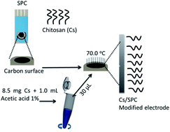 Graphical abstract: A new and simple electroanalytical method to detect thiomersal in vaccines on a screen-printed electrode modified with chitosan