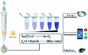 Graphical abstract: Simple multimodal detection of selenium in water and vegetable samples by a catalytic chromogenic method
