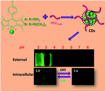 Graphical abstract: BODIPY-based carbon dots as fluorescent nanoprobes for sensing and imaging of extreme acidity