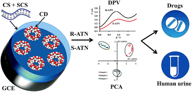 Graphical abstract: Selective voltammetric sensors based on composites of chitosan polyelectrolyte complexes with cyclodextrins for the recognition and determination of atenolol enantiomers