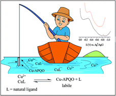 Graphical abstract: Development of a portable sensor to evaluate copper speciation in natural waters