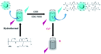 Graphical abstract: Fluorescent carbon dots directly derived from polyethyleneimine and their application for the detection of Co2+