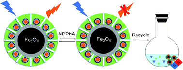 Graphical abstract: Dual-functional imprinted magnetic nanoprobes for fluorescence detection of N-nitrosodiphenylamine