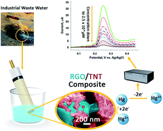 Graphical abstract: An engineered nanocomposite for sensitive and selective detection of mercury in environmental water samples