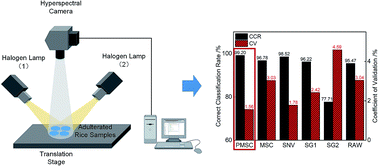 Graphical abstract: Accuracy and stability improvement in detecting Wuchang rice adulteration by piece-wise multiplicative scatter correction in the hyperspectral imaging system
