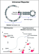 Graphical abstract: Fluorescence signal-to-noise optimisation for real-time PCR using universal reporter oligonucleotides