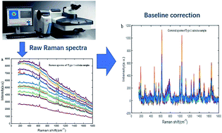 Graphical abstract: Baseline correction for Raman spectra using penalized spline smoothing based on vector transformation