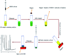 Graphical abstract: Magnetic deep eutectic solvent-based ultrasound-assisted liquid–liquid microextraction for determination of hexanal and heptanal in edible oils followed by gas chromatography–flame ionization detection