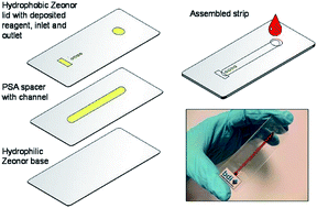 Graphical abstract: Microfluidics in coagulation monitoring devices: a mini review