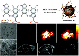 Graphical abstract: Eumelanin–Fe3O4 hybrid nanoparticles for enhanced MR/PA imaging-assisted local photothermolysis