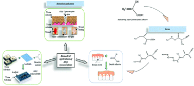 Graphical abstract: Biocompatible alkyl cyanoacrylates and their derivatives as bio-adhesives