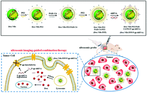 Graphical abstract: Charge-reversal-functionalized PLGA nanobubbles as theranostic agents for ultrasonic-imaging-guided combination therapy