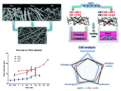 Graphical abstract: Biological activity of human mesenchymal stromal cells on polymeric electrospun scaffolds