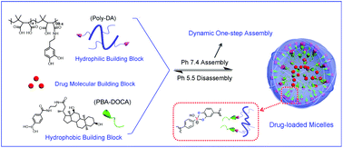Graphical abstract: Facile dynamic one-step modular assembly based on boronic acid-diol for construction of a micellar drug delivery system