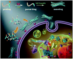 Graphical abstract: Enzyme-instructed self-assembly of a novel histone deacetylase inhibitor with enhanced selectivity and anticancer efficiency