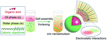Graphical abstract: Advanced emulsions via noncovalent interaction-mediated interfacial self-assembly
