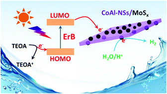 Graphical abstract: CoAl-layered double hydroxide nanosheets as an active matrix to anchor an amorphous MoSx catalyst for efficient visible light hydrogen evolution