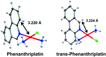 Graphical abstract: The effect of geometric isomerism on the anticancer activity of the monofunctional platinum complex trans-[Pt(NH3)2(phenanthridine)Cl]NO3
