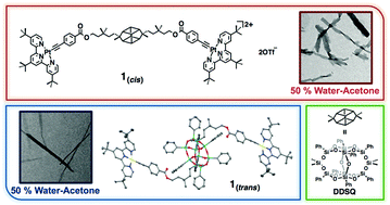Graphical abstract: Supramolecular assemblies of dinuclear alkynylplatinum(ii) terpyridine complexes with double-decker silsesquioxane nano-cores: the role of isomerism in constructing nano-structures