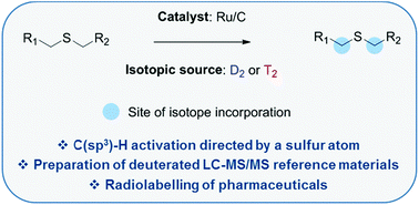 Graphical abstract: Ruthenium-catalyzed hydrogen isotope exchange of C(sp3)–H bonds directed by a sulfur atom