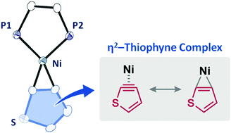 Graphical abstract: Synthesis, crystal structure and reactivity of η2-thiophyne Ni complexes