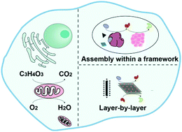 Graphical abstract: Integrated nanozymes: facile preparation and biomedical applications