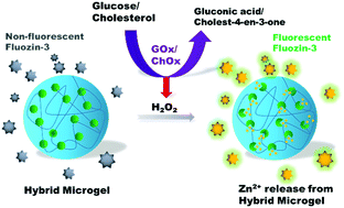 Graphical abstract: Encapsulation of ionic nanoparticles produces reactive oxygen species (ROS)-responsive microgel useful for molecular detection