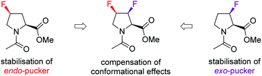 Graphical abstract: Minimising conformational bias in fluoroprolines through vicinal difluorination