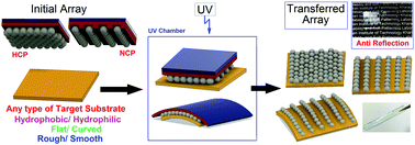 Graphical abstract: Transfer printing of colloidal crystals based on UV mediated degradation of a polymer thin film