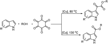 Graphical abstract: Copper-catalyzed carbonylative transformations of indoles with hexaketocyclohexane