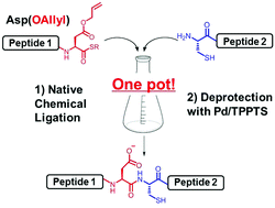 Graphical abstract: Efficient peptide ligation between allyl-protected Asp and Cys followed by palladium-mediated deprotection