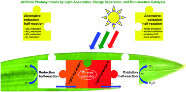 Graphical abstract: Artificial photosynthesis by light absorption, charge separation, and multielectron catalysis