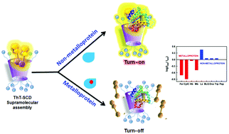 Graphical abstract: A supramolecular assembly enables discrimination between metalloproteins and non-metalloproteins